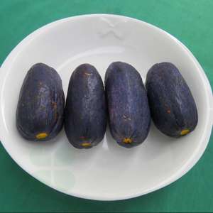 Safou baba : Yūom (Bamoun), Tchoum (Bangangté), Atanga (Gabon)